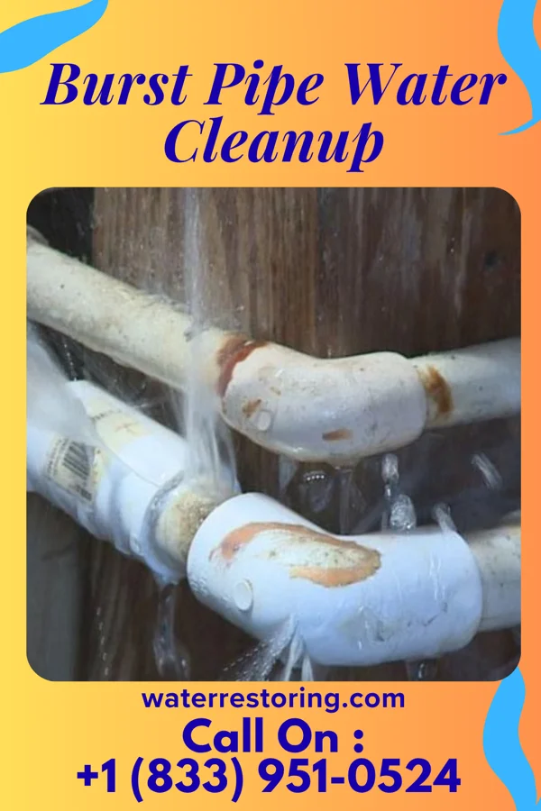 Burst Pipe Water Cleanup in Burnt Prairie, IL