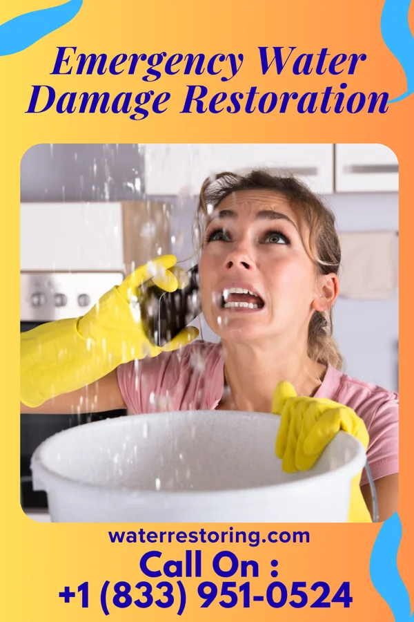 Emergency Water Damage Restoration in Burnt Prairie, IL