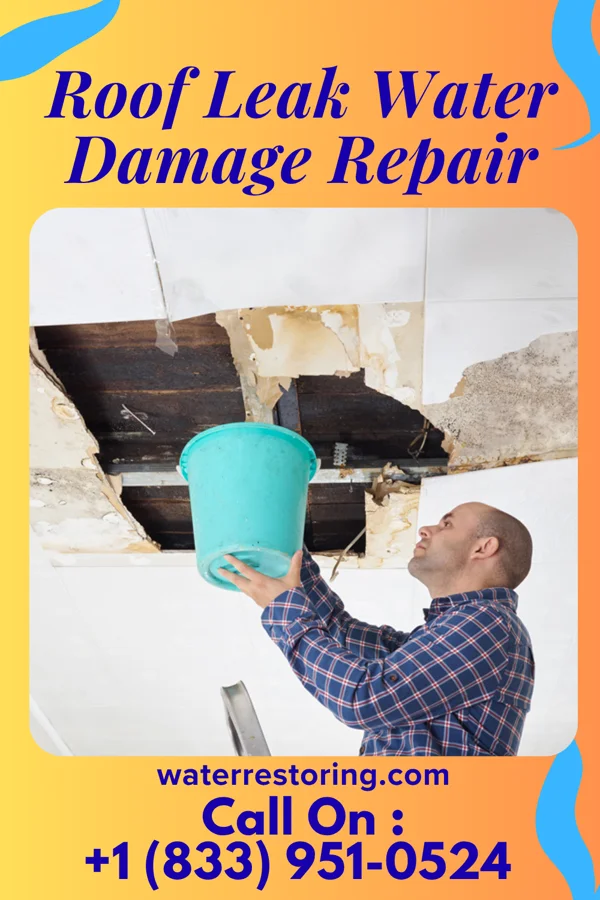 Roof Leak Water Damage Repair in Burnt Prairie, IL